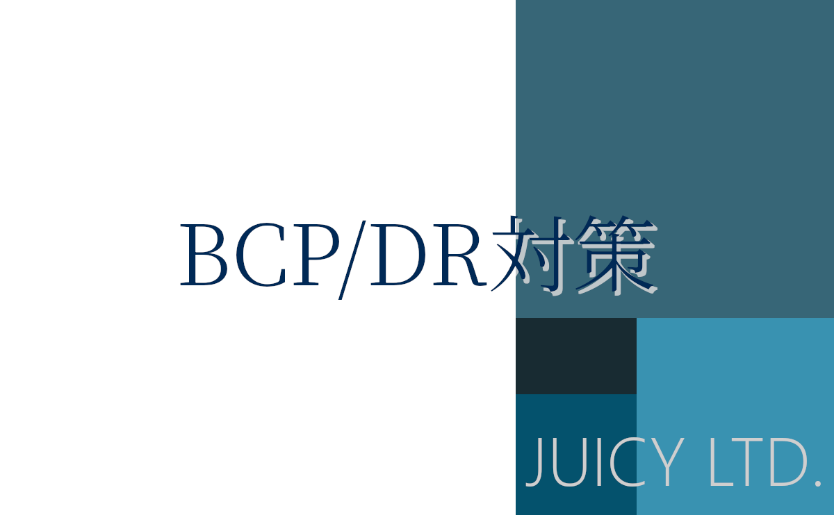 BCP/DR対策